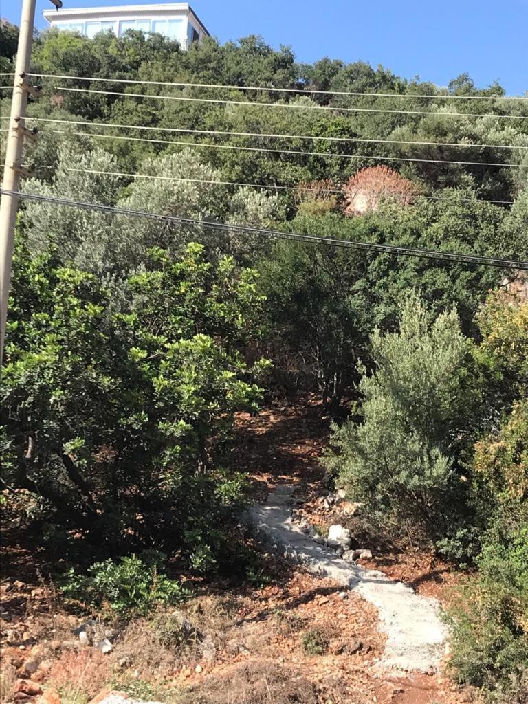 Appartamento Green Hill Kaş Esterno foto